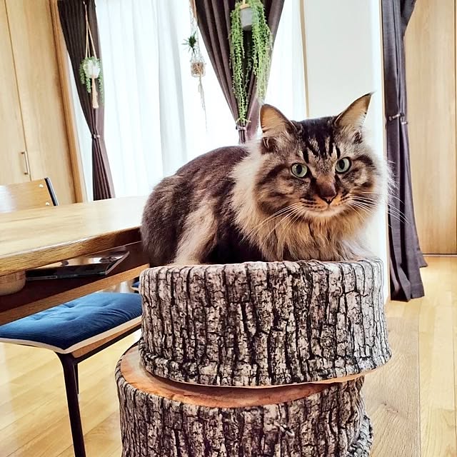 sayan_0321さんの部屋