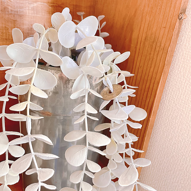 akiko-ovさんの部屋