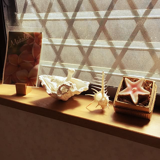 sakulaさんの実例写真