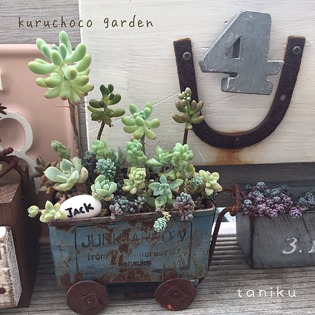 kurumichocoさんの実例写真