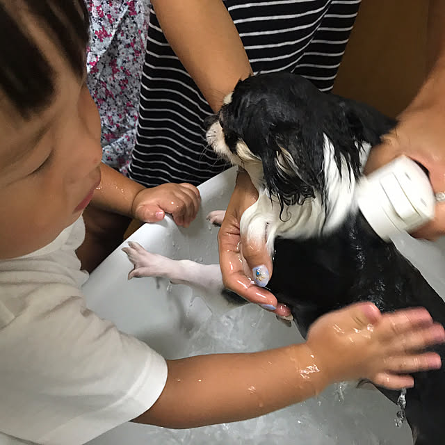 実例写真