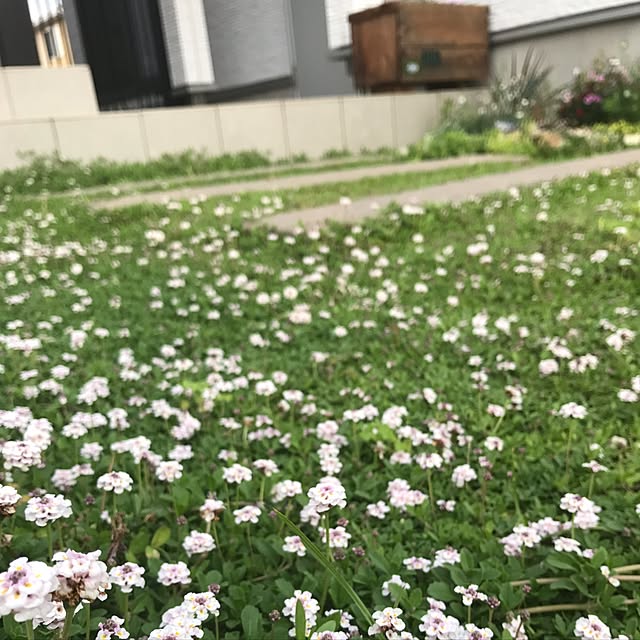 hataakariさんの実例写真