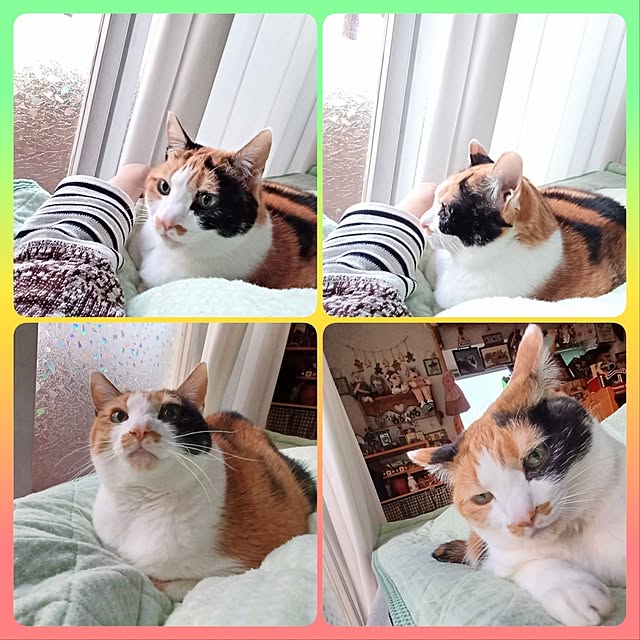 nanaさんの部屋