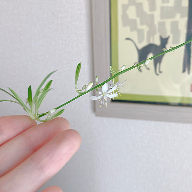 yuyuさんの部屋