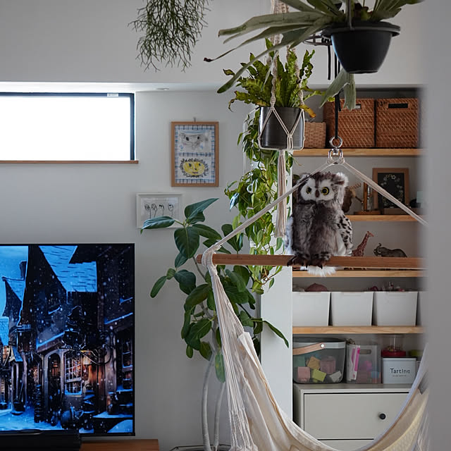 ss.my_homeさんの部屋