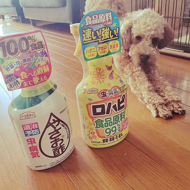 mimi828さんの実例写真