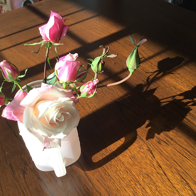 雑貨/観葉植物/100均/庭/机のインテリア実例 - 2021-01-10 00:36:35
