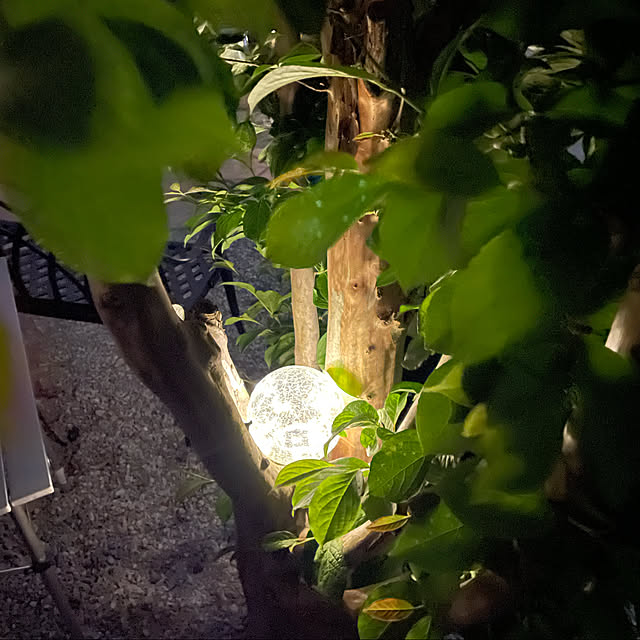 ronronさんの実例写真