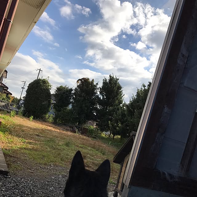 haruさんの実例写真