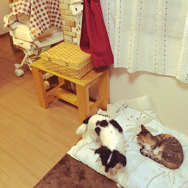 Mayさんの実例写真