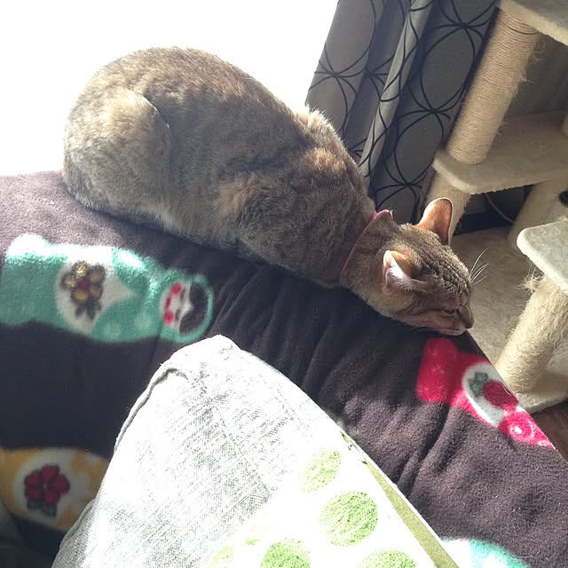 1633さんの実例写真