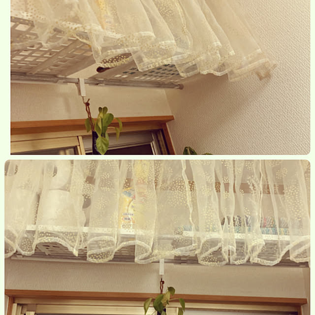 reeさんの実例写真