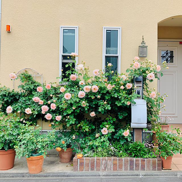 mogさんの実例写真