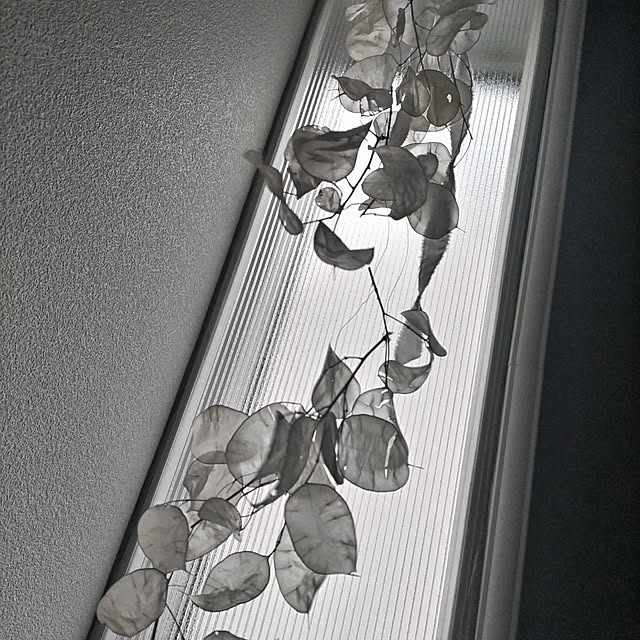 yukotanさんの部屋