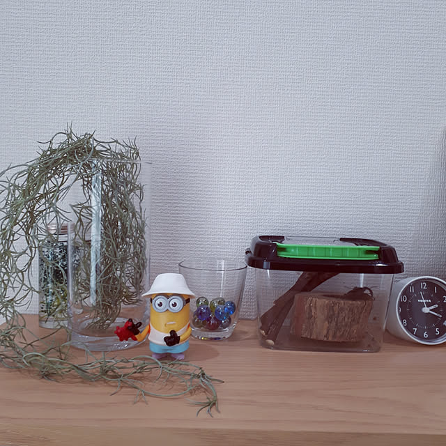 maro38さんの実例写真