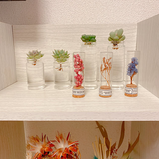 myuさんの実例写真