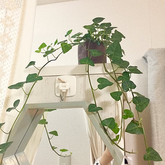 starainさんの実例写真
