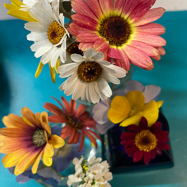 namecoさんの部屋