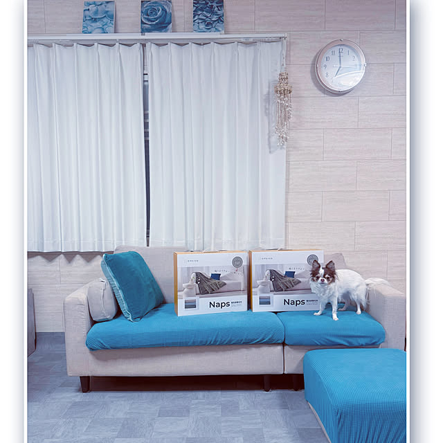 makoさんの実例写真