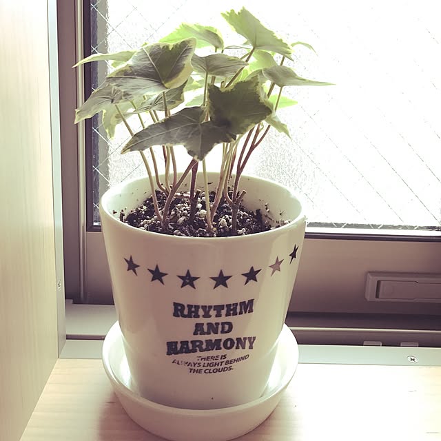 chibiccoさんの実例写真