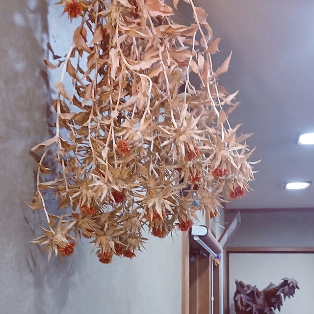 hiro-yさんの実例写真