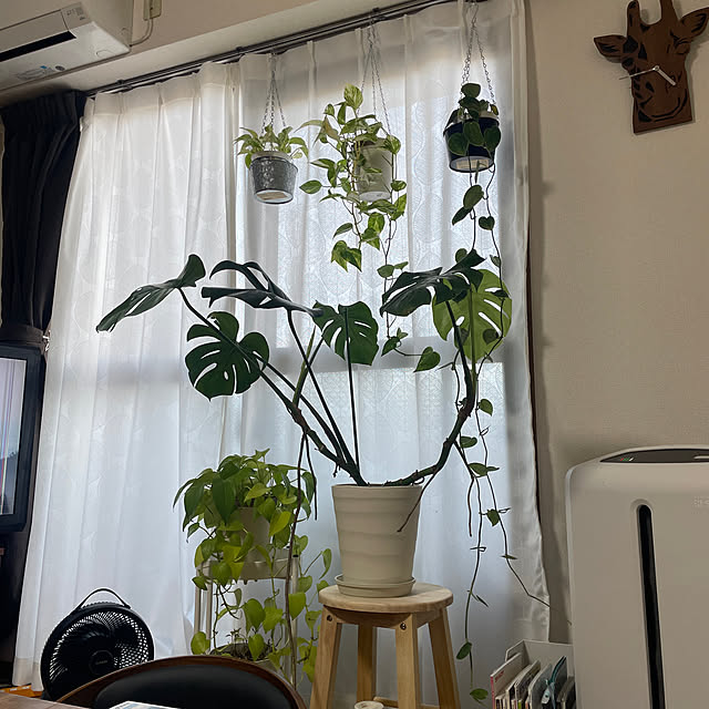 chi.pa.ruさんの実例写真