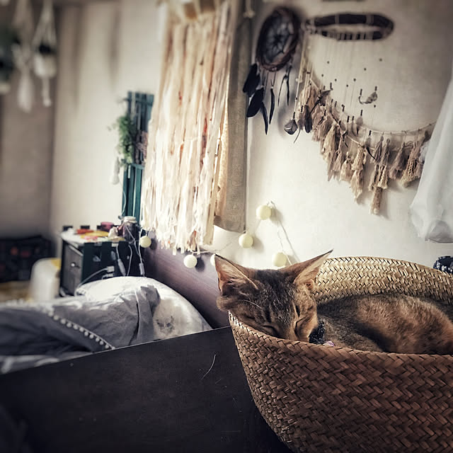 1633さんの実例写真