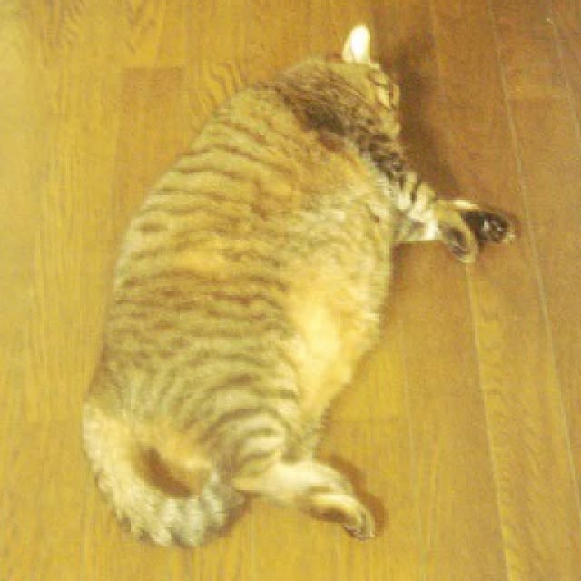 sannbonnnonamiさんの実例写真