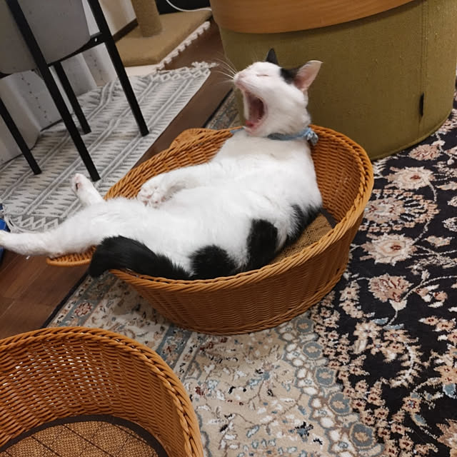 yuuさんの実例写真
