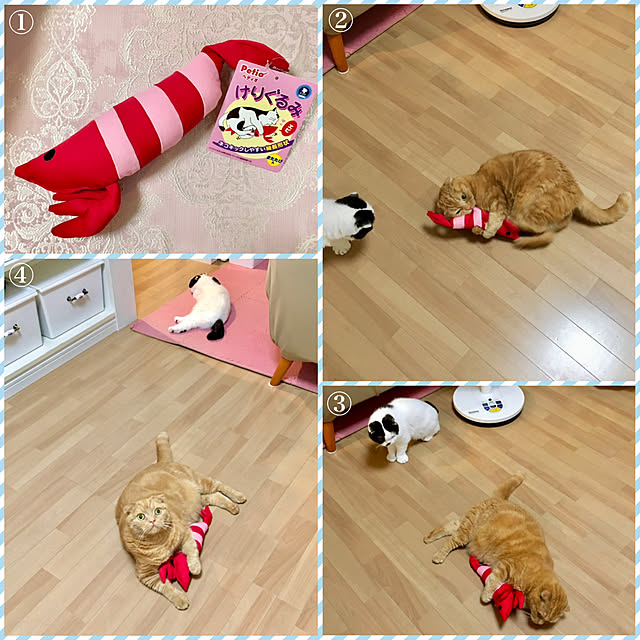 pinaminさんの実例写真