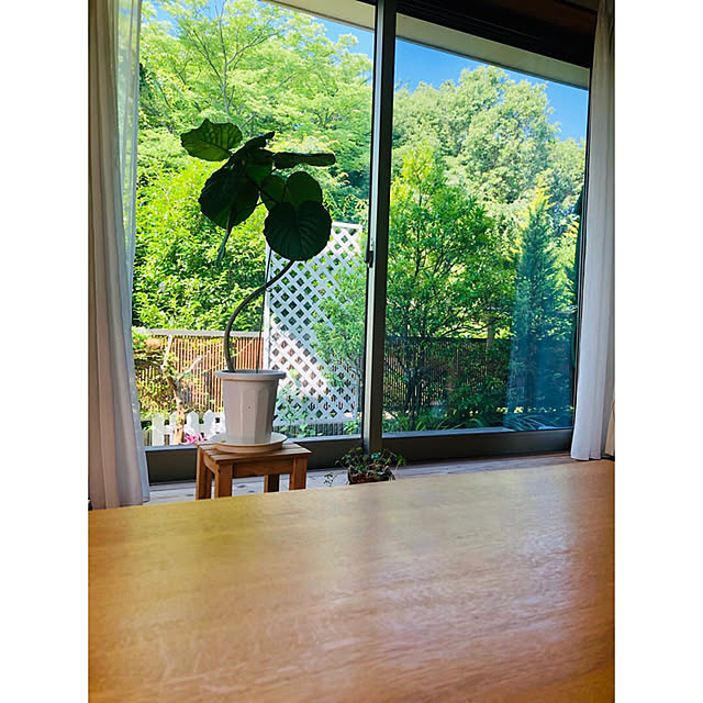 maipoさんの実例写真