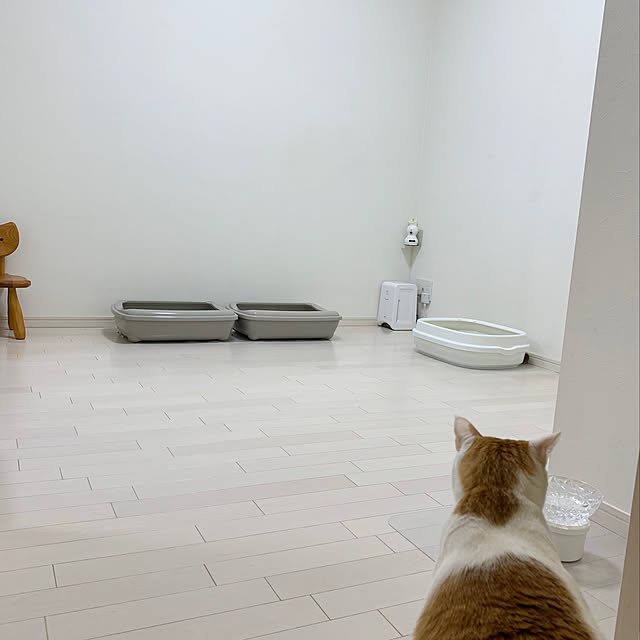 bikkeさんの実例写真