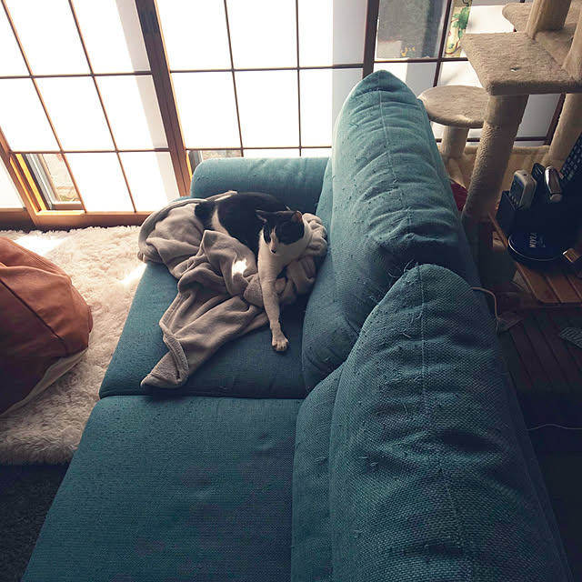 oseroさんの実例写真