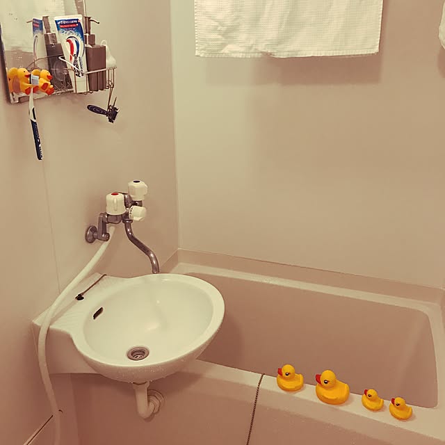 バス/トイレのインテリア実例 - 2017-02-05 15:47:39