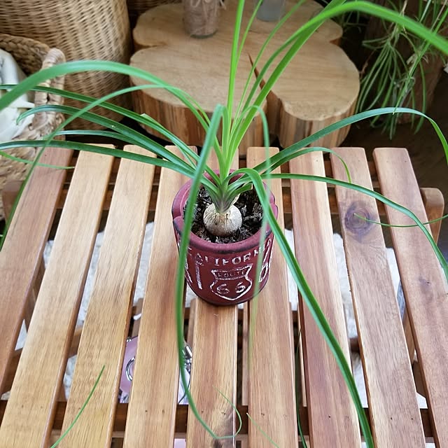 midoriさんの部屋