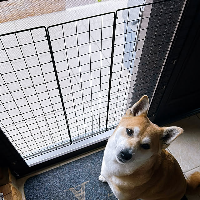 okadajapanさんの部屋