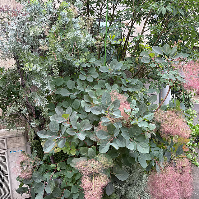 otanuさんの部屋