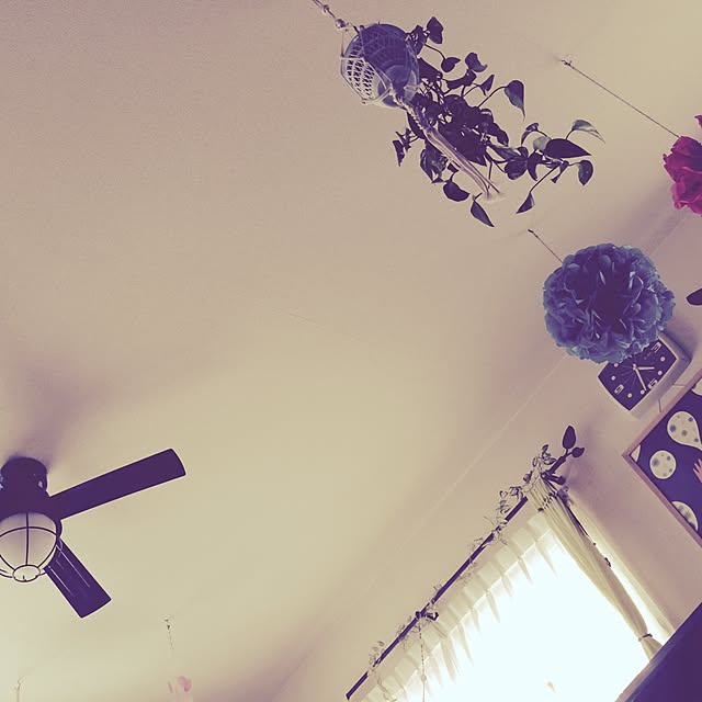 部屋全体/照明/雑貨/観葉植物のインテリア実例 - 2016-08-19 14:09:14