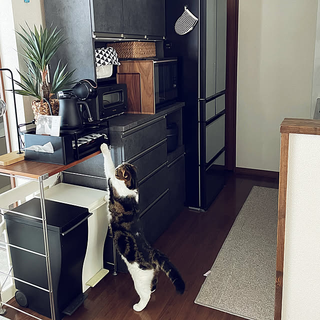tansukeさんの部屋