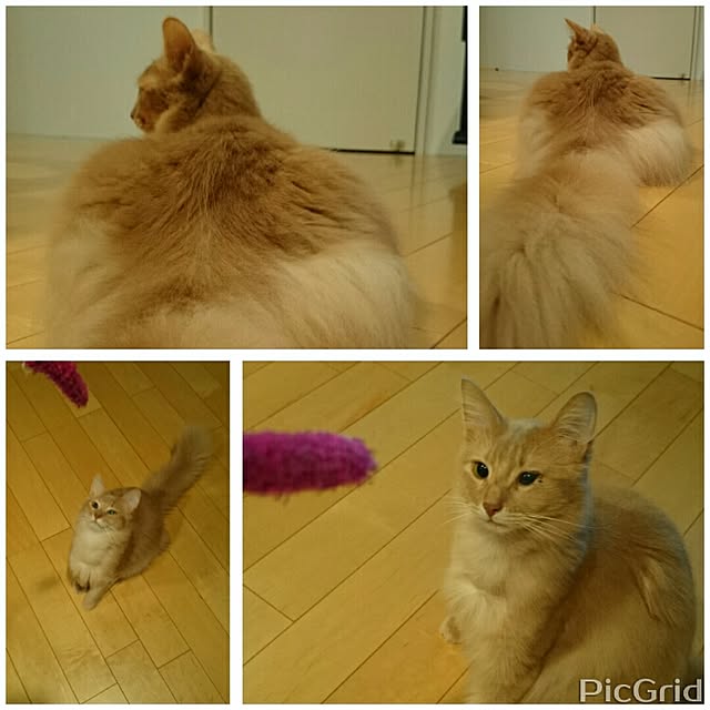 1ldksさんの実例写真