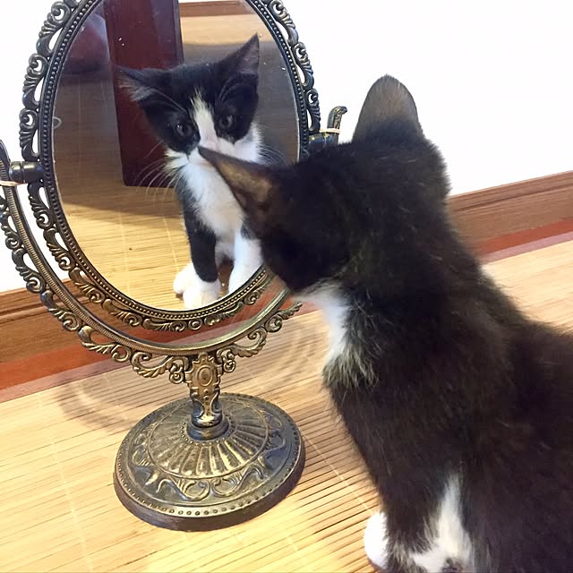 butachanさんの実例写真