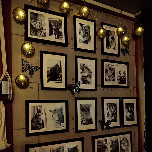 runaさんの部屋