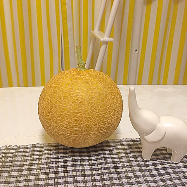 Yuukaさんの実例写真