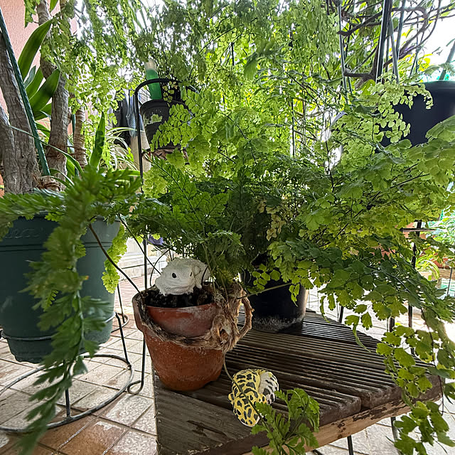 Aqettyさんの部屋