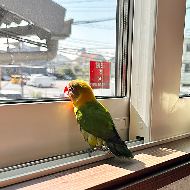 mitsukiさんの実例写真