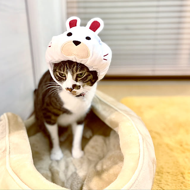 ippu0303Karinさんの実例写真