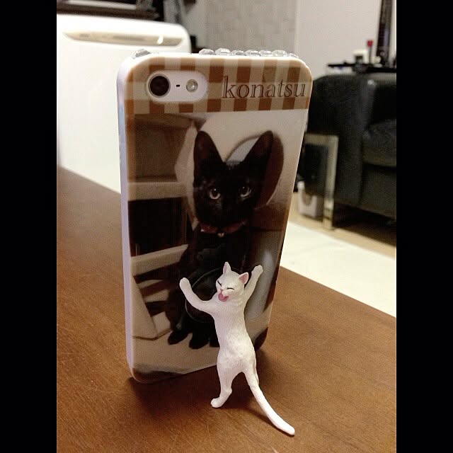 konatsuさんの実例写真