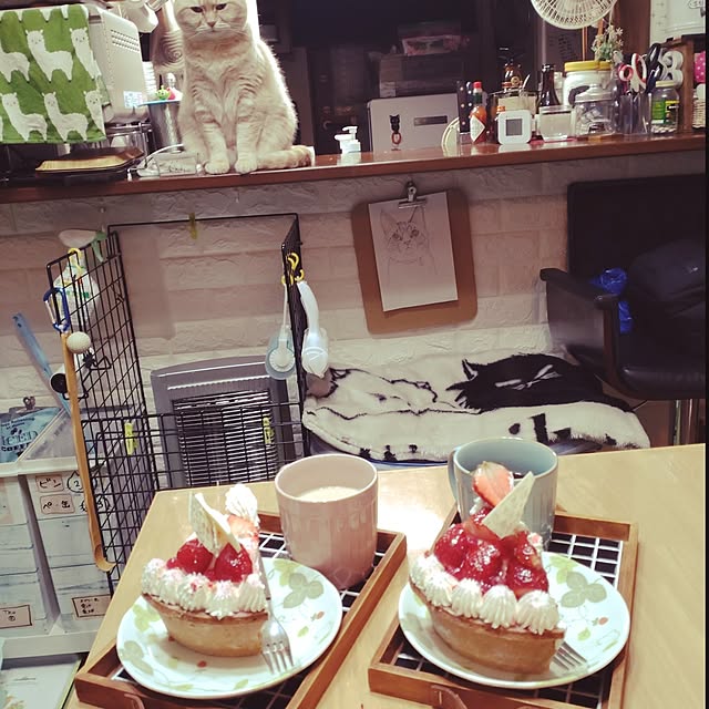 mntcさんの部屋