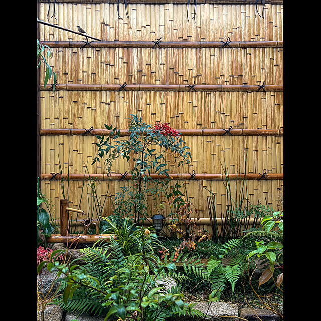 fawnさんの実例写真