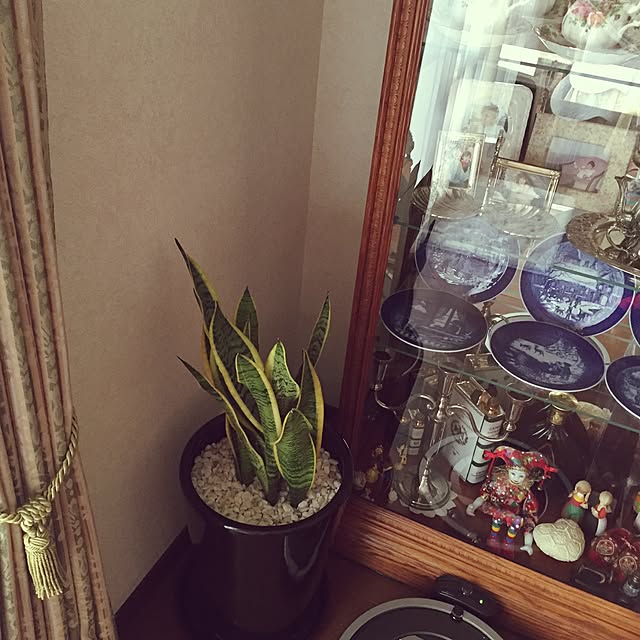 ange.zuzuさんの実例写真